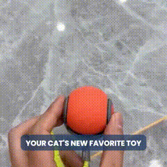 🔥Interactive Electric Rolling Ball with Teasing Tail
