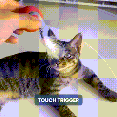 🔥Interactive Electric Rolling Ball with Teasing Tail